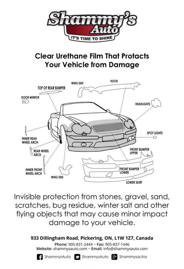Paint Protection Film Shammy's Auto Detailing