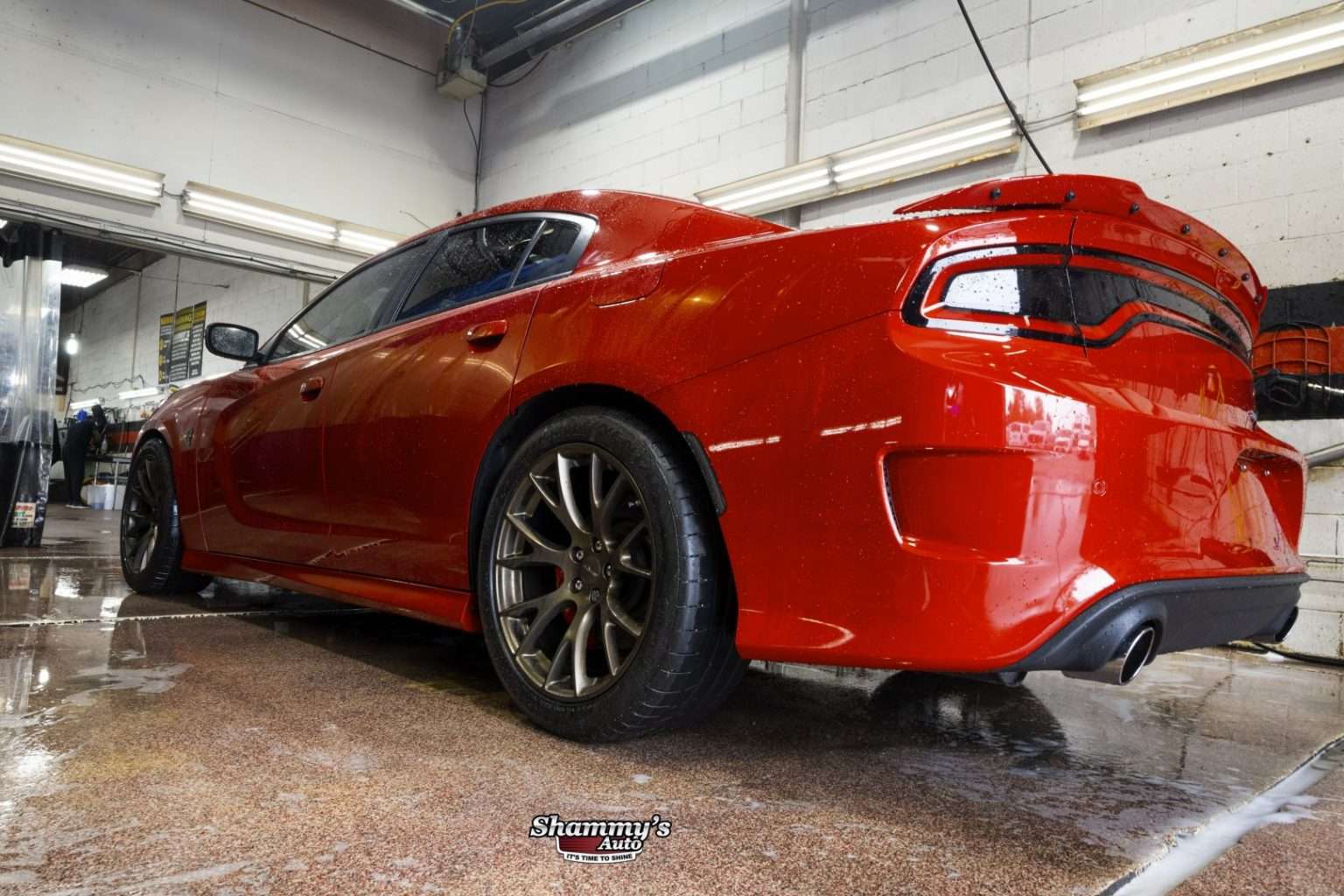 Professional Auto Detailing Is a Winter Must in Canada Here are 5 Reasons Why Shammy's Auto