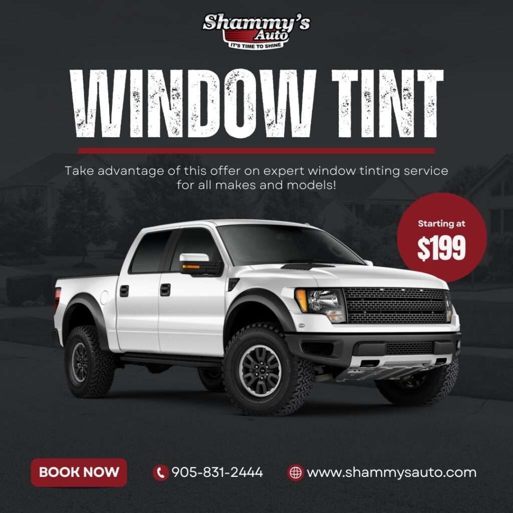 Promotions Shammy's Auto Detailing